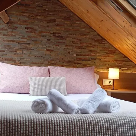 Precioso Atico Acogedor En Canfranc